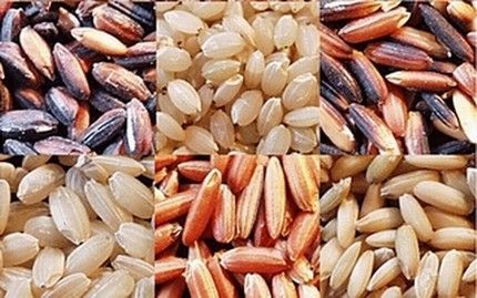 10 món cháo giúp kiện tỳ, dưỡng vị nên ăn vào mùa hè - Ảnh 2.