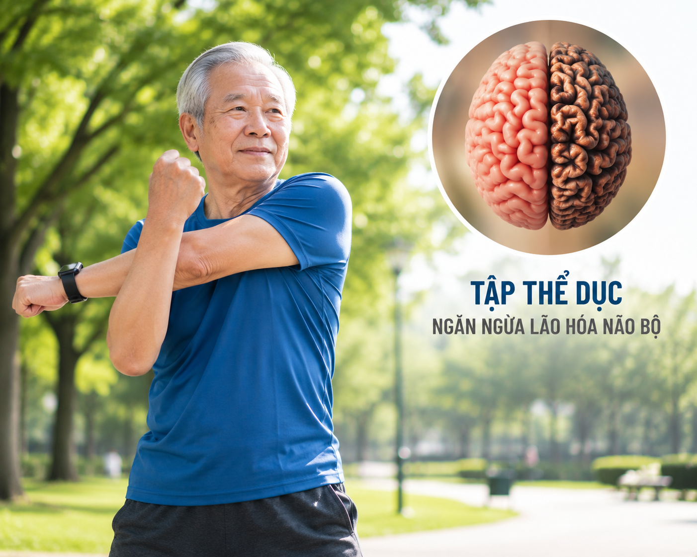 1-17853123995211892650974 5 thói quen hàng ngày làm chậm lão hóa não, duy trì trí nhớ minh mẫn - Ảnh 1.