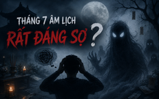 Ô Tô Vi Phạm Giao Thông: Nỗi Khổ Của Chủ Xe Phải Vay Tiền Nộp Phạt