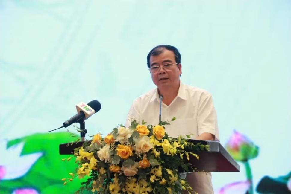 Kế Hoạch Sắp Xếp Các Cơ Sở Giáo Dục Tại Hải Phòng: Đảm Bảo Quyền Học Tập Cho Từng Địa Phương