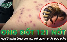 Nỗi Đau Của Người Cha: Một Chặng Đường Lành Lặn Đầy Giông Bão
