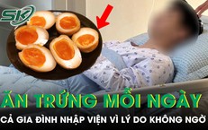 Câu Chuyện Đau Thương Về Bệnh Dại: Thiệt Hại Nặng Nề Từ Bệnh Lý Này