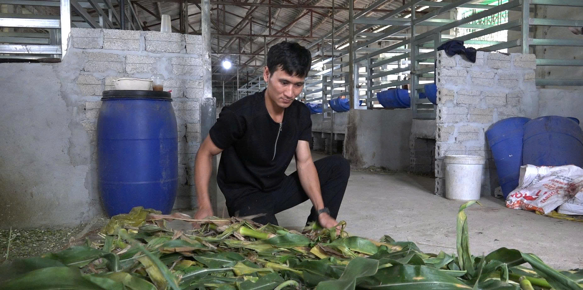 Hành trình khởi nghiệp của chàng kỹ sư đam mê nuôi hươu sao- Ảnh 1.