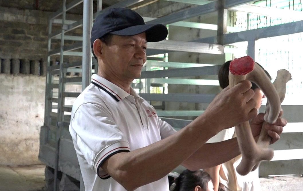 Hành trình khởi nghiệp của chàng kỹ sư đam mê nuôi hươu sao- Ảnh 5.