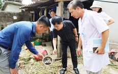 Tại Sao Giảm Muối Quan Trọng Đối Với Sức Khỏe Cộng Đồng?