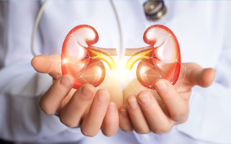 Nguy Cơ Tim Mạch Ở Người Bệnh Thận Mạn: Cách Sử Dụng Statin Hiệu Quả