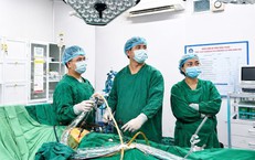 Hà Tĩnh Tăng Cường Biện Pháp Chống Dịch Sốt Xuất Huyết Sau Khi Ghi Nhận 11 Ca Bệnh