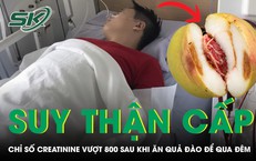 Phòng ngừa và xử lý khi bị ong vò vẽ tấn công: hướng dẫn an toàn cho gia đình
