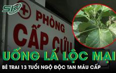 Tầm Quan Trọng Của Việc Tầm Soát Sớm Bệnh Tim Mạch Để Ngăn Ngừa Biến Chứng