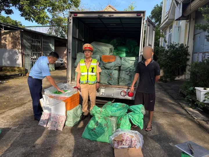 Quảng Ninh: Khám Phá Vụ Phát Hiện Thực Phẩm Đông Lạnh Bất Hợp Pháp
