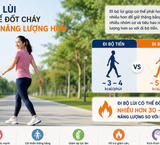 Lợi Ích Sức Khỏe Từ Rễ Cỏ Xước: Công Dụng và Cách Sử Dụng