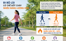 Lợi Ích Sức Khỏe Từ Rễ Cỏ Xước: Công Dụng và Cách Sử Dụng