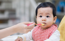 Những Ai Cần Chú Ý Khi Tiêu Thụ Mướp Đắng Để Bảo Vệ Sức Khỏe