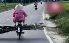 Tử Vong Đáng Tiếc Của Bé Gái 9 Tuổi Vì Bệnh Dại: Một Bài Học Cảnh Giác