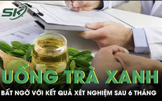 Câu Chuyện Ly Kỳ: Tài Xế Dũng Cảm Bắt Rắn Giữa Đường Gây Chấn Động