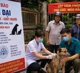 Tăng Cường Hiệu Quả Cấp Cứu Ngoại Viện Tại Thành Phố Hồ Chí Minh