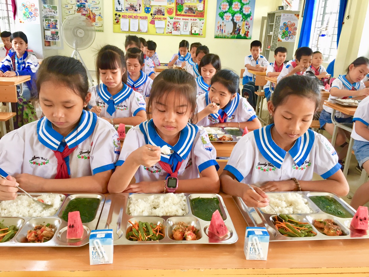 Sữa tươi có vai trò đặc biệt quan trọng với độ tuổi học đường- Ảnh 2.