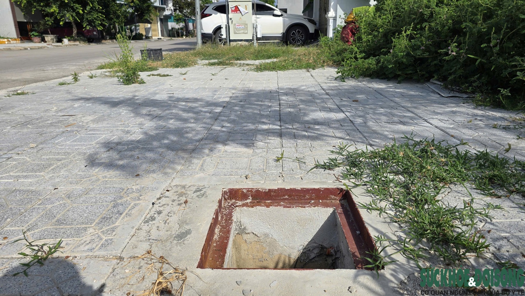 Cảnh báo tạm thời