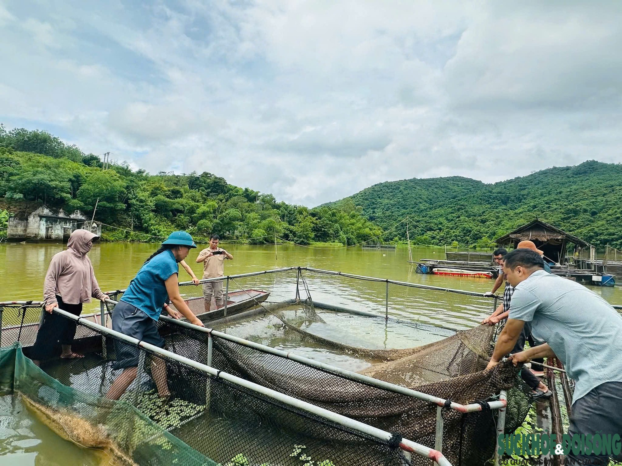 Cá chết trên sông Lam