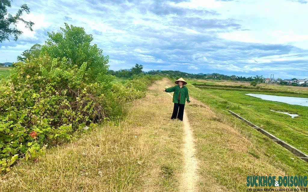 base64-17858111668981998058951 Đê sông xuống cấp, người dân thấp thỏm trước mùa mưa lũ - Ảnh 1.
