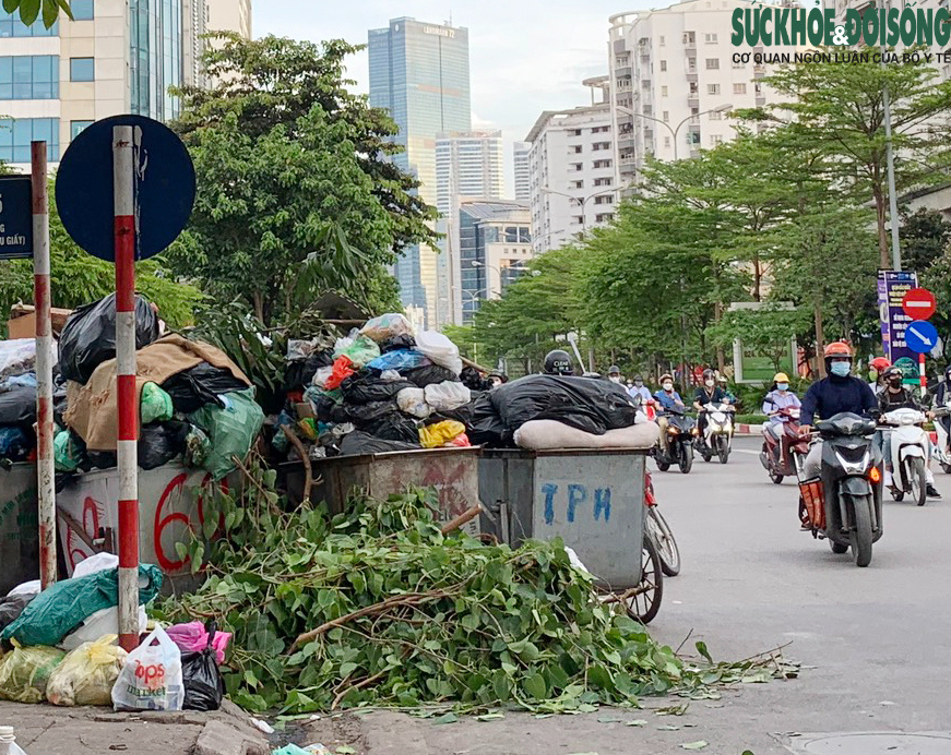Chính Phủ Đề Ra 9 Giải Pháp Mới Để Bảo Vệ Môi Trường và Ứng Phó Biến Đổi Khí Hậu