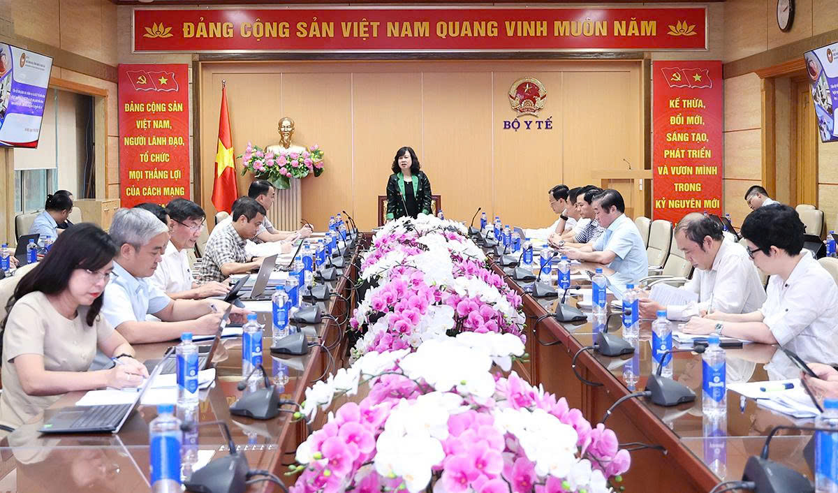 Bộ trưởng Đào Hồng Lan Thúc Đẩy Tiến Độ Chuyển Đổi Số Y Tế