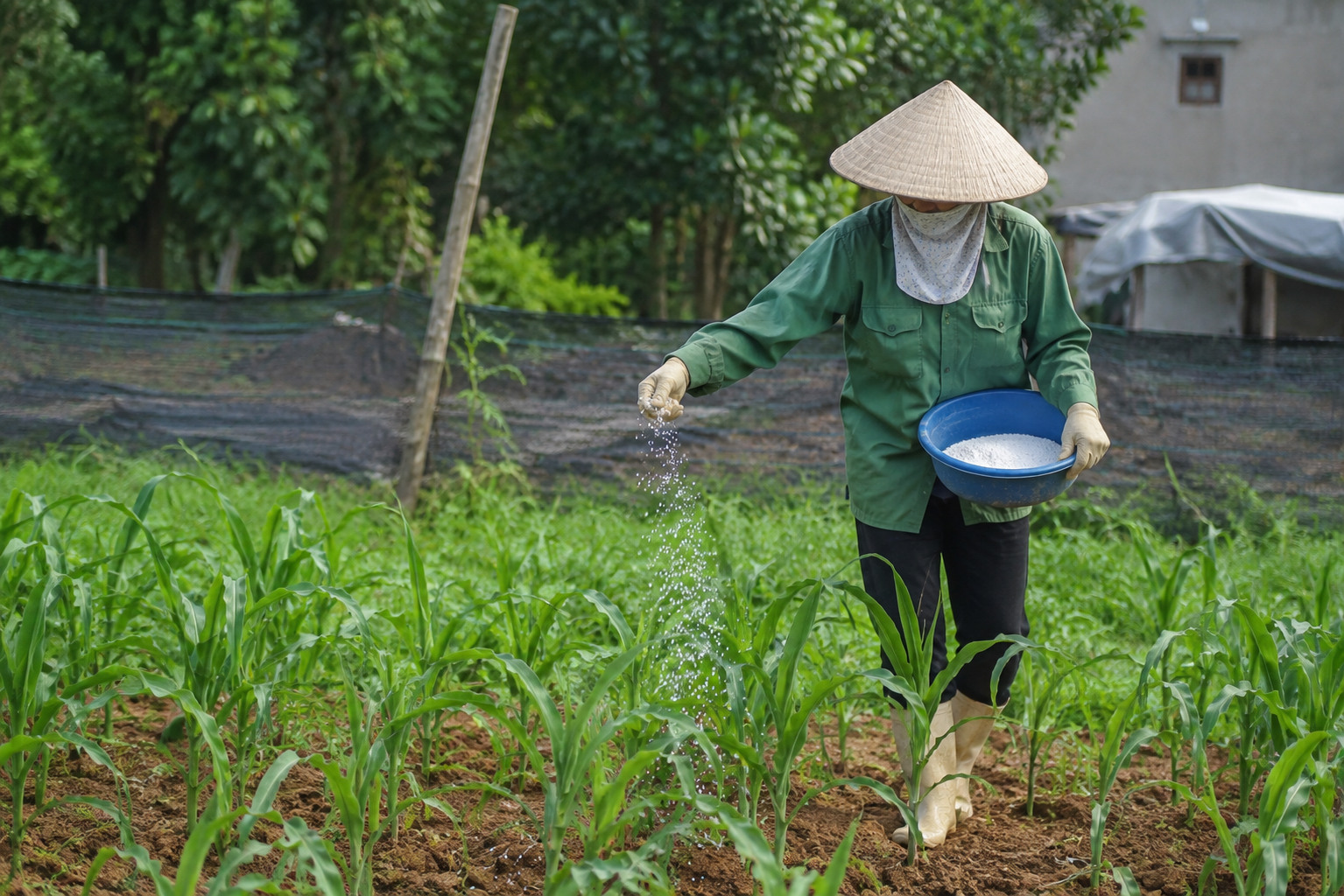 Nguyên Tắc Quan Trọng Để Bảo Đảm An Toàn Khi Tiếp Xuất Hóa Chất Hàng Ngày