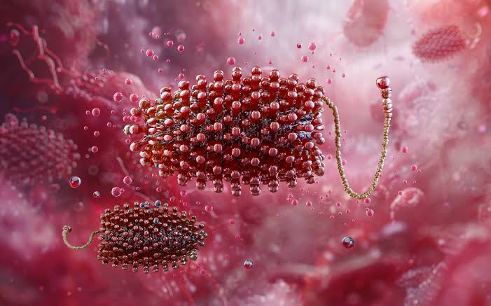 Bùng Nổ Lây Lan Virus Chandipura Ở Ấn Độ: Cảnh Báo Đến Từ Bang Gujarat