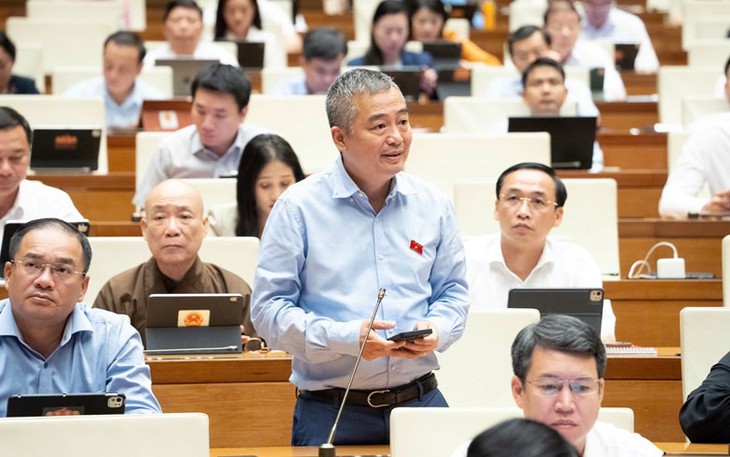 Cải Cách Luật Nuôi Con Nuôi - Quy Trình