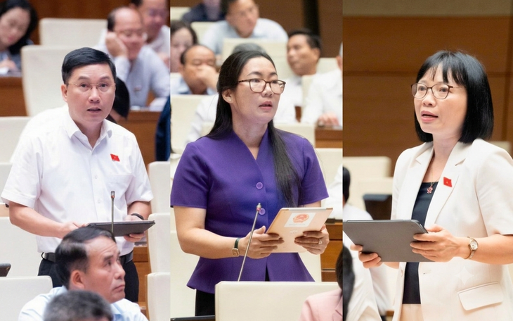 ĐBQH: Cần đưa kinh doanh kim cương vào ngành, nghề đầu tư kinh doanh có điều kiện- Ảnh 3.
