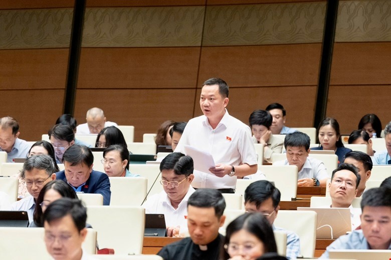 ĐBQH: Cần đưa kinh doanh kim cương vào ngành, nghề đầu tư kinh doanh có điều kiện- Ảnh 1.