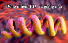 Khám Phá Giải Pháp Tăng Cường Sinh Lý Nam An Toàn và Hiệu Quả