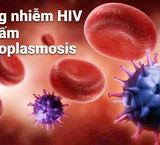 Virus HPV: Nguy Cơ Gây Ung Thư Và Cách Phòng Ngừa Hiệu Quả