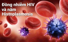 Virus HPV: Nguy Cơ Gây Ung Thư Và Cách Phòng Ngừa Hiệu Quả