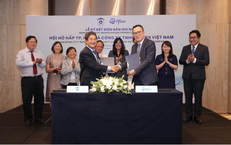 Đối Mặt Với Chi Phí Đào Tạo: Thực Trạng Ngành Sức Khỏe Tại Việt Nam