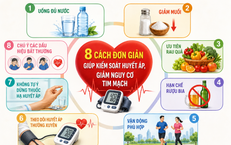Khám Phá Những Món Ăn Giàu Kali Lợi Ích Cho Tim Mạch Và Hệ Thần Kinh