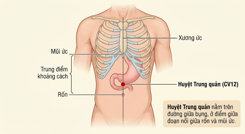 Giảm Đau Dạ Dày Hiệu Quả Qua Phương Pháp Xoa Bóp Bấm Huyệt