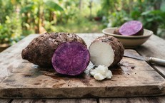 Vì sao đường ruột quyết định dinh dưỡng và sức đề kháng của trẻ