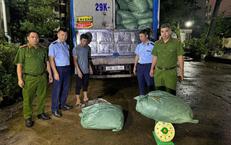 Dải Hội Tụ Nhiệt Đới Gây Mưa Lớn Ảnh Hưởng Đến Bắc Bộ và Bắc Trung Bộ