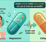Mối Liên Hệ Giữa Thiếu Vitamin D và Tăng Nguy Cơ Cận Thị