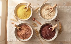 Tác Động Của Kẽm Chelate Đến Hệ Miễn Dịch Ở Trẻ Em