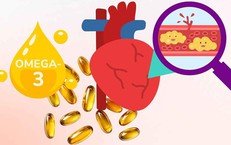 Diễn Đàn Y Học Bào Thai: Kết Nối Để Thúc Đẩy Sự Phát Triển Tại Việt Nam
