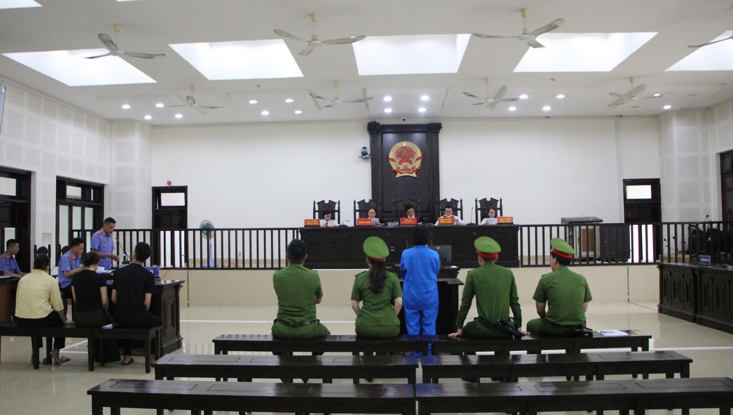 Tuyên án chung thân người mẹ sát hại con ruột để trục lợi bảo hiểm - Ảnh 2.
