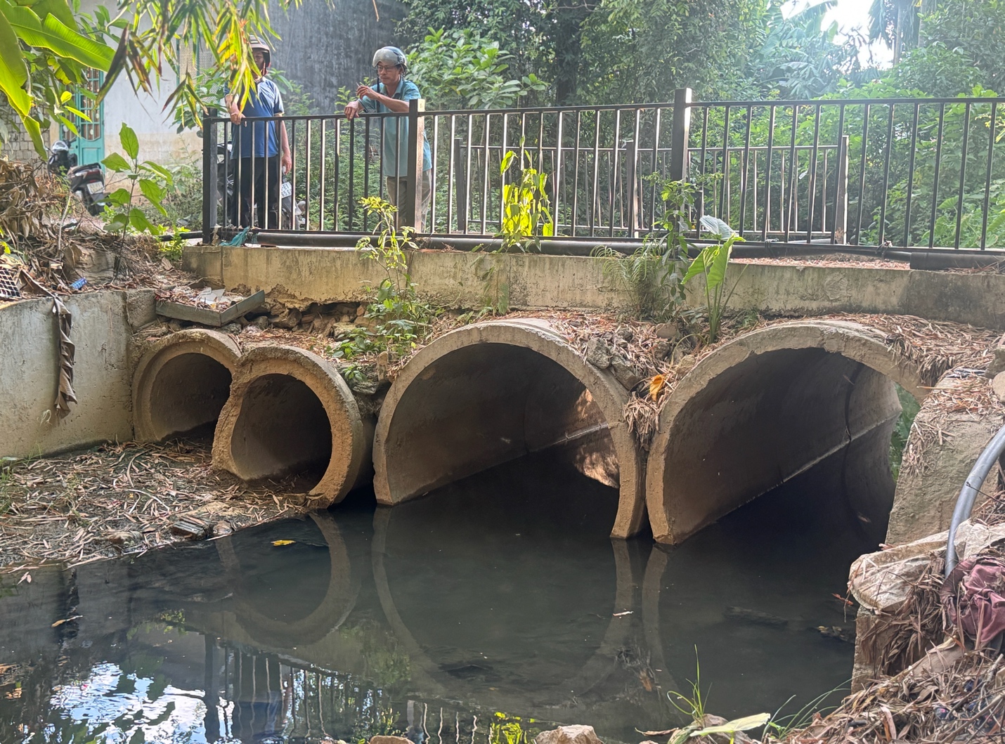 Kênh nước ô nhiễm gần bãi rác Khánh Sơn Người dân chịu ảnh hưởng từ kênh nước bốc mùi
