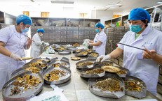 Khám Phá Vai Trò Của Quỹ Bảo Hiểm Y Tế Trong Chăm Sóc Sức Khỏe
