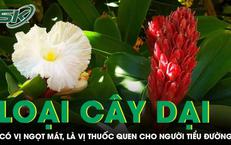 7 Thói Quen Đơn Giản Giúp Kéo Dài Tuổi Thọ Bạn Nên Biết