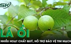 Câu Chuyện Thú Vị Về Một Bé Trai 14 Tuổi Nhập Viện Vì Xuất Huyết Tiêu Hóa