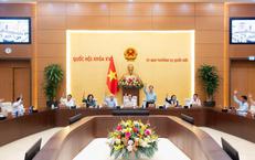 Khám Phá Vụ Giết Người Rúng Động Ở Quảng Ngãi: Hành Trình Tìm Kiếm Công Lý