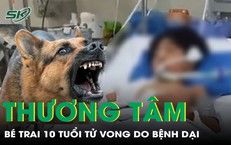 Nguy Cơ Viêm Ruột Thừa Ở Trẻ Em: Những Điều Cần Biết