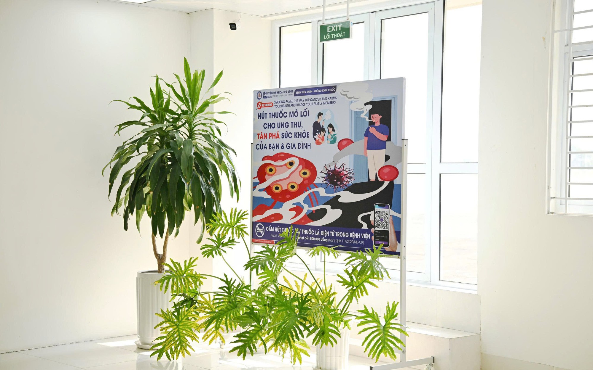 Phát Triển Mạng Lưới Tư Vấn Cai Nghiện Thuốc Lá Tại Việt Nam